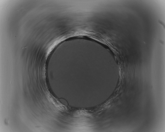 X0000102230244200808011231