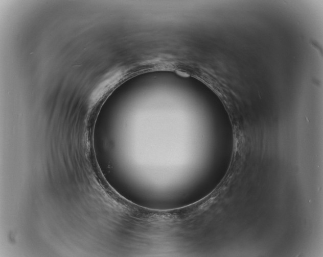 X0000102230245200808011231