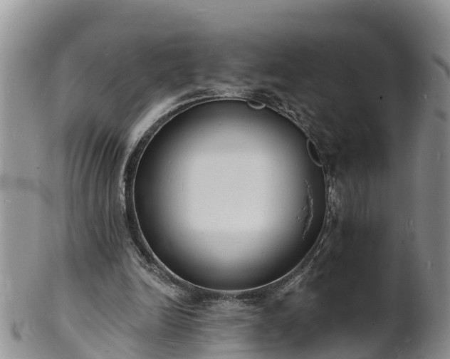 X0000102230246200808011231