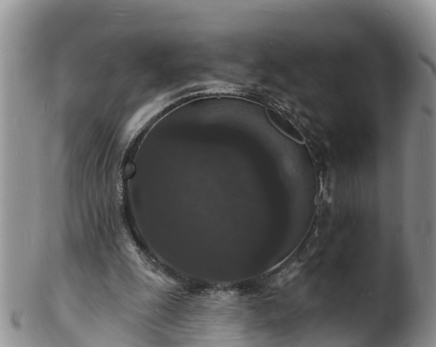 X0000102230247200808011231