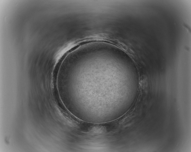 X0000102230248200808011231