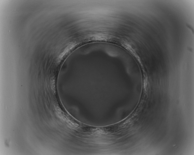 X0000102230249200808011231