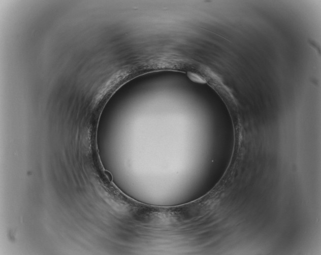 X0000102230250200808011231