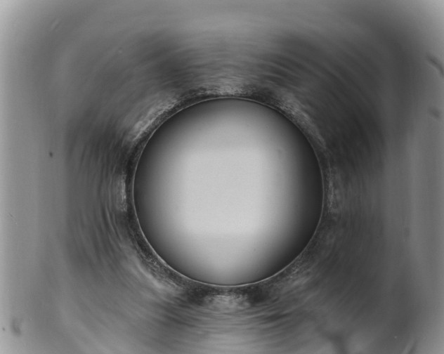X0000102230251200808011231