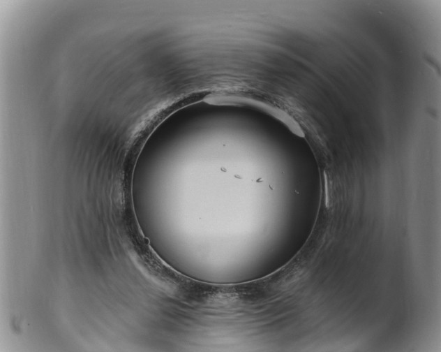 X0000102230252200808011232