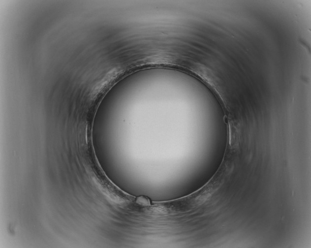 X0000102230253200808011232