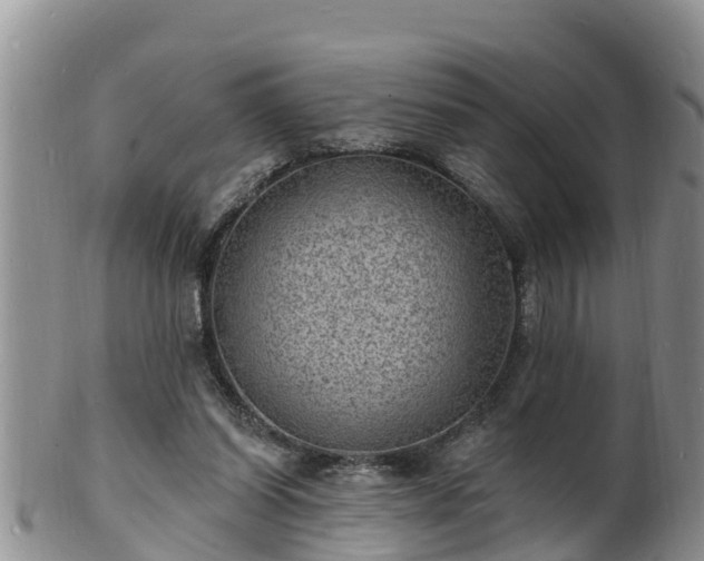 X0000102230254200808011232