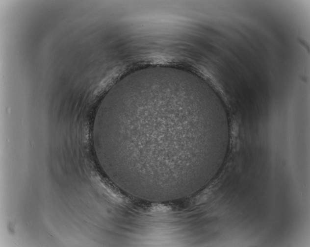 X0000102230257200808011232