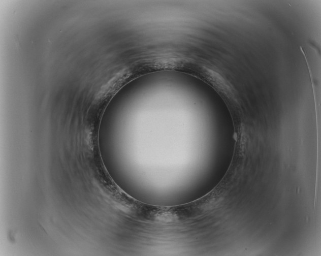 X0000102230258200808011232