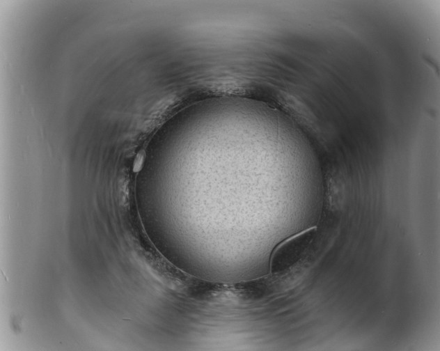 X0000102230259200808011232