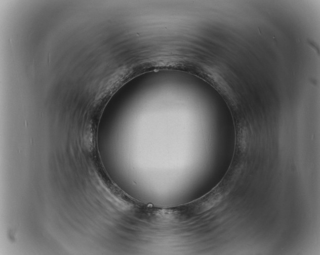X0000102230261200808011232