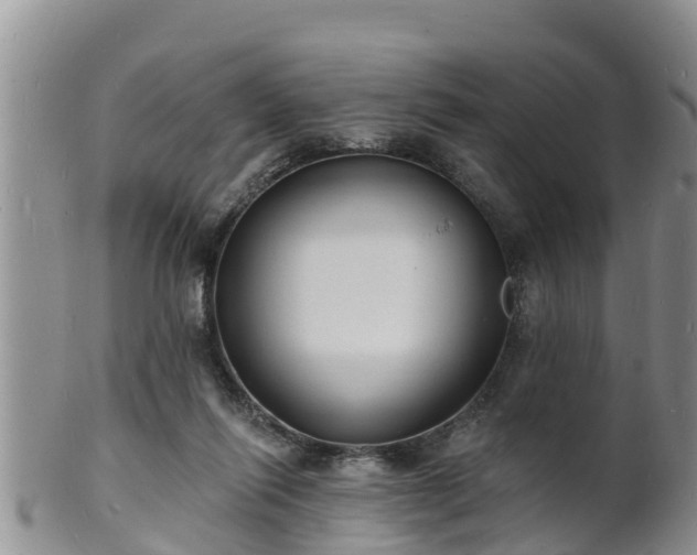 X0000102230262200808011232