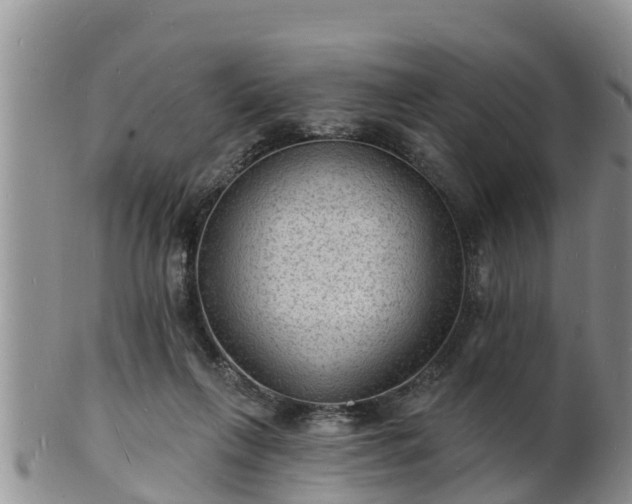X0000102230263200808011232