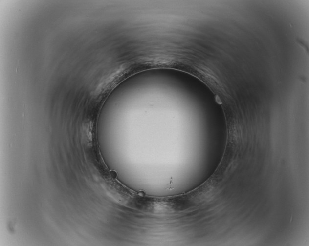 X0000102230264200808011232