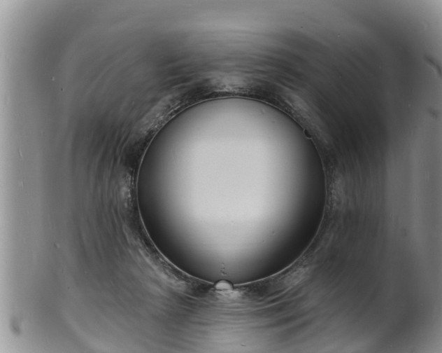 X0000102230265200808011232