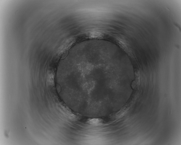 X0000102230269200808011232