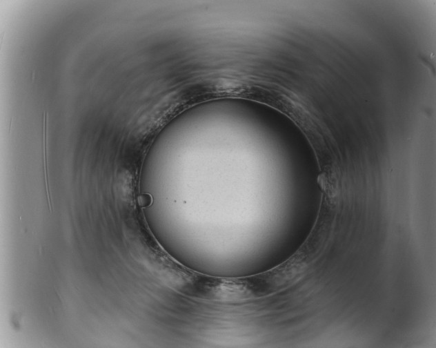 X0000102230270200808011232