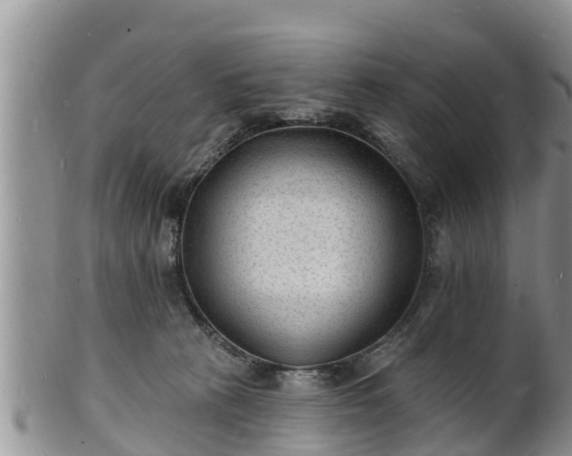 X0000102230273200808011232
