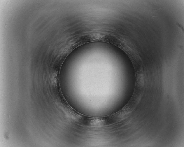 X0000102230274200808011232