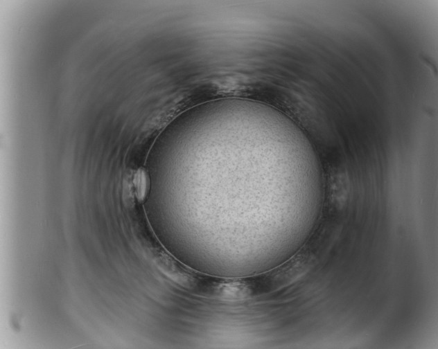 X0000102230275200808011232