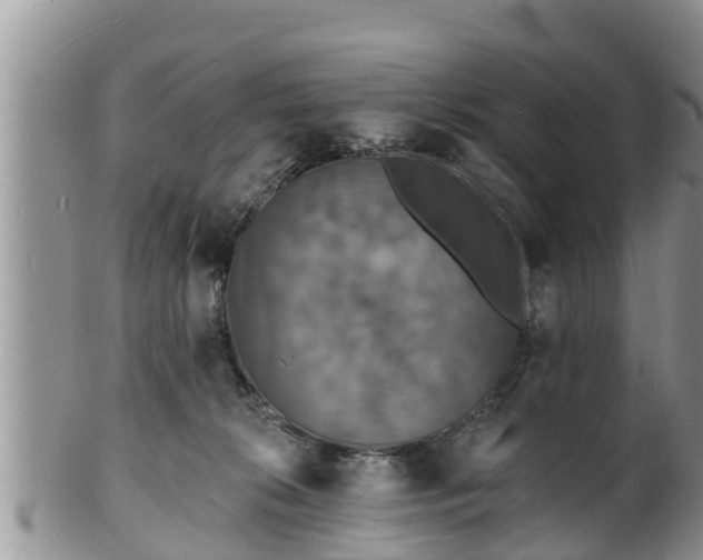 X0000102230276200808011232