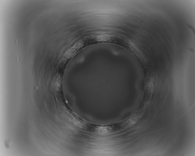 X0000102230277200808011232