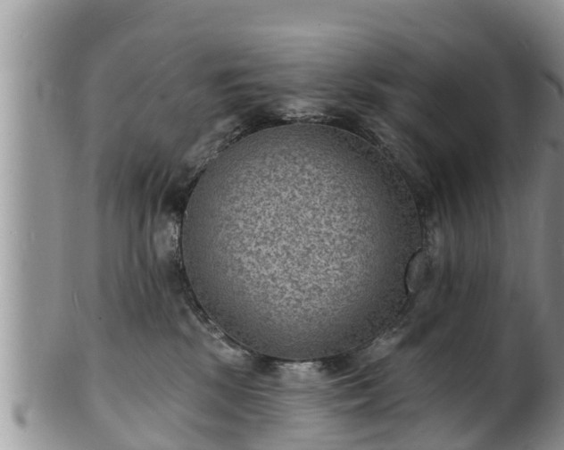 X0000102230281200808011232