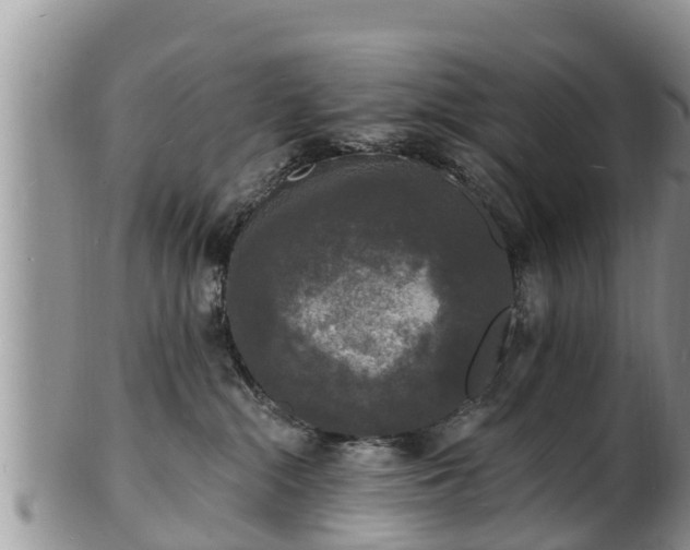 X0000102230284200808011232