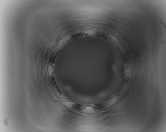 X0000102230285200808011232