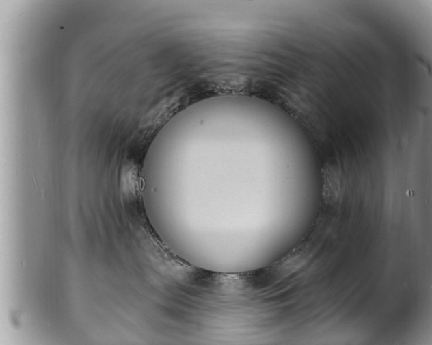X0000102230287200808011232