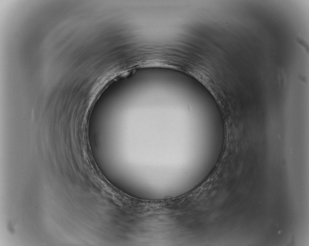 X0000102230289200808011231