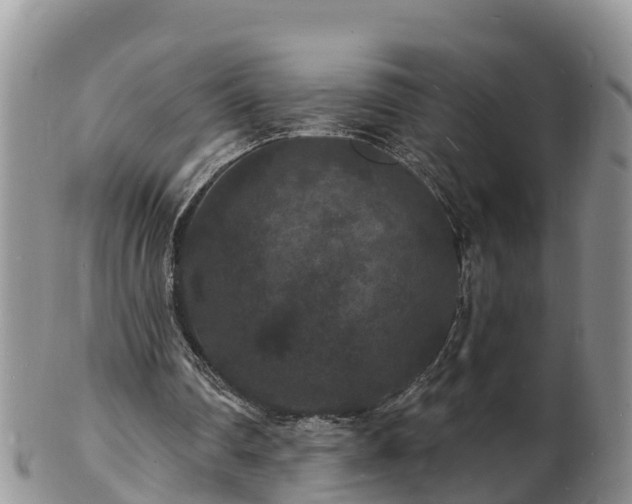 X0000102230290200808011231
