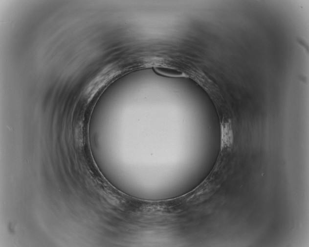 X0000102230291200808011231