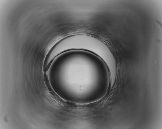 X0000102230292200808011231