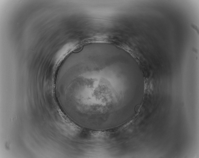 X0000102230293200808011231