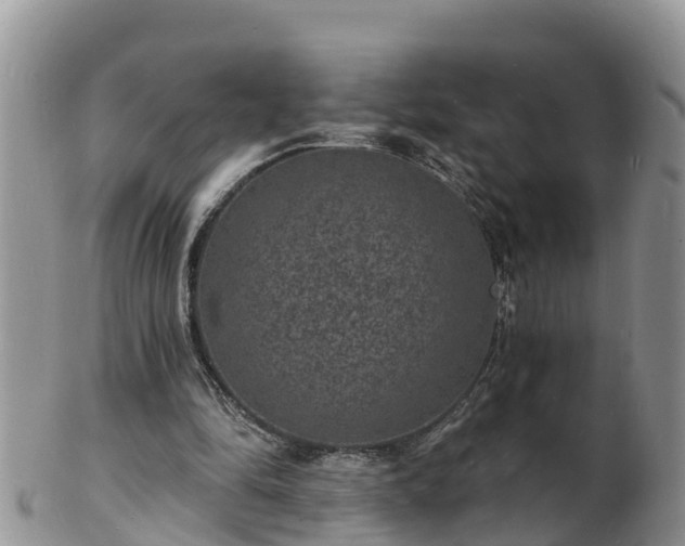 X0000102230294200808011231