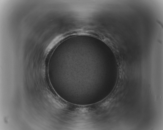 X0000102230295200808011231