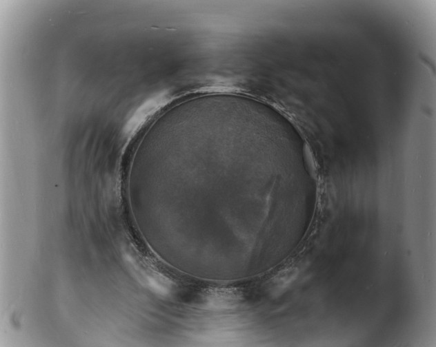X0000102230296200808011231