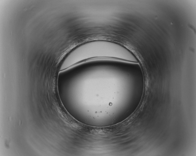 X0000102230297200808011231