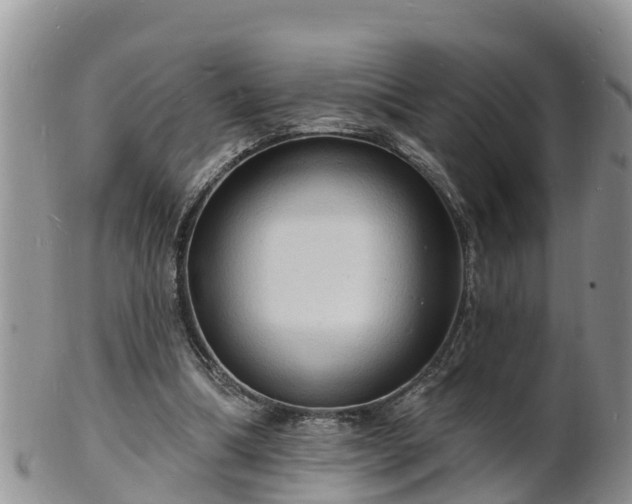 X0000102230298200808011231