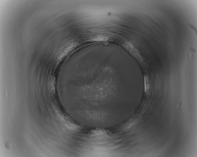X0000102230300200808011231