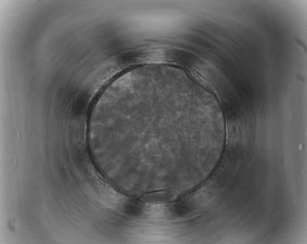 X0000102230301200808011231