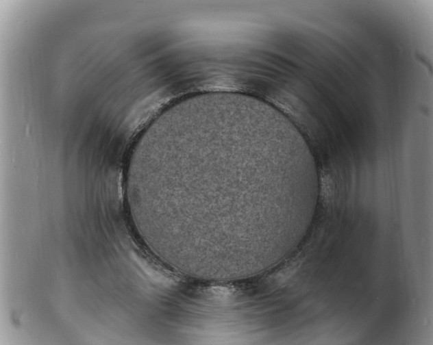 X0000102230302200808011231