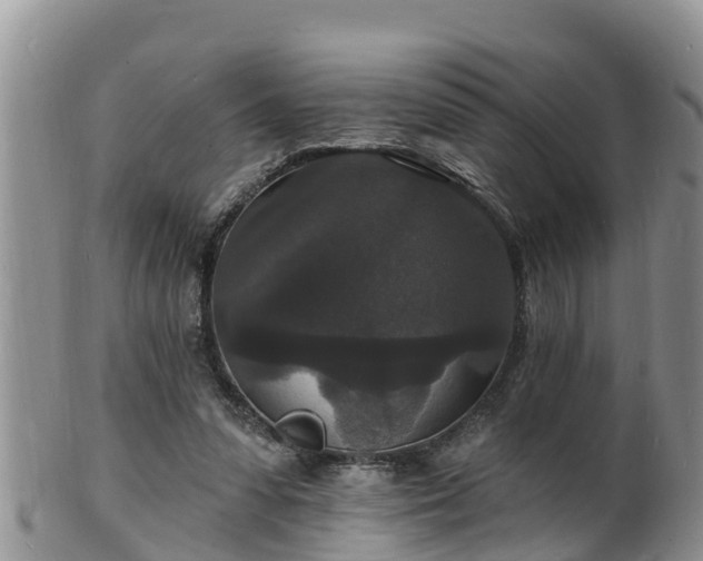 X0000102230303200808011231