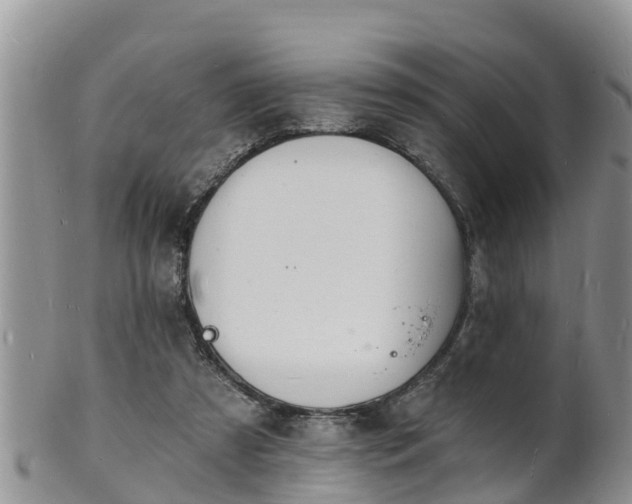 X0000102230305200808011231