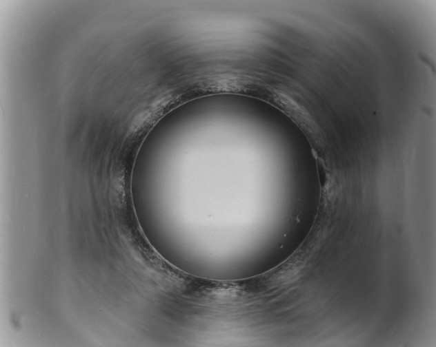 X0000102230306200808011231