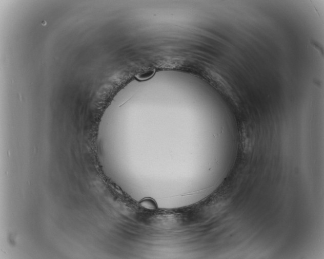 X0000102230307200808011231