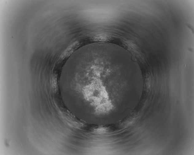 X0000102230312200808011231