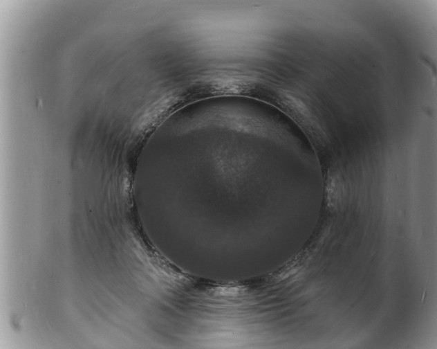 X0000102230314200808011231