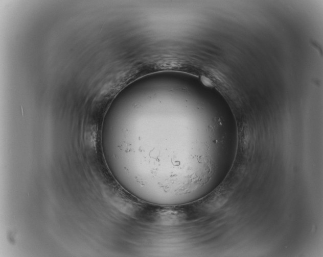 X0000102230315200808011231
